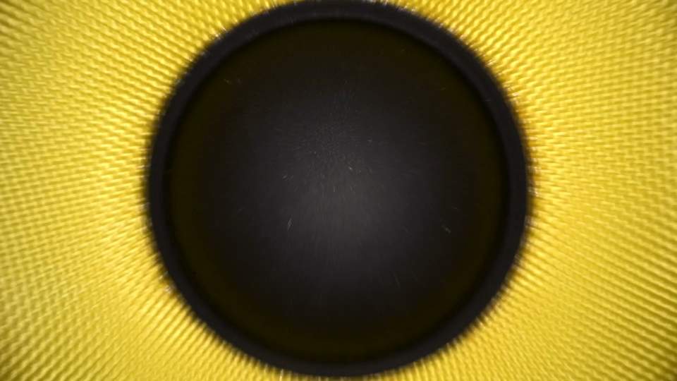 Speaker cone